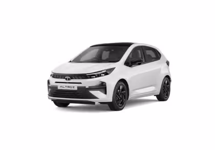 Radiator Cooling Fan Motor - view 2